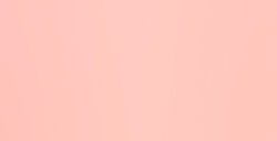 LIQUITEX BASICS COLORI ACRILICI LIGHT PORTRAIT PINK N. 810