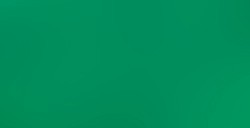LIQUITEX BASICS COLORI ACRILICI PHTHALOCYANINE GREEN N. 317