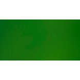 LIQUITEX BASICS COLORI ACRILICI HOOKER\'S GREEN HUE PERMANENT N. 224