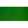 LIQUITEX BASICS COLORI ACRILICI HOOKER\'S GREEN HUE PERMANENT N. 224