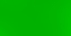 LIQUITEX BASICS PEINTURE ACRYLIQUE VERT CLAIR PERMANENT Nº 312