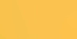 LIQUITEX BASICS COLORI ACRILICI NAPLES YELLOW HUE N. 601