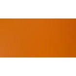 LIQUITEX BASICS COLORI ACRILICI RAW SIENNA N. 330