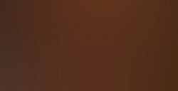 LIQUITEX BASICS COLORI ACRILICI BURNT UMBER N. 128