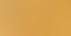 LIQUITEX BASICS COLORI ACRILICI IRIDESCENT GOLD N. 234