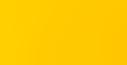 LIQUITEX BASICS COLORI ACRILICI CADMIUM YELLOW LIGHT HUE N. 159