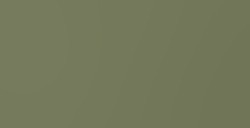 LIQUITEX BASICS COLORI ACRILICI GREEN GRAY N. 205