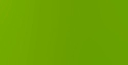 LIQUITEX BASICS COLORI ACRILICI LIME GREEN N. 222