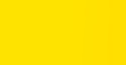 LIQUITEX BASICS COLORI ACRILICI FLUORESCENT YELLOW N. 981