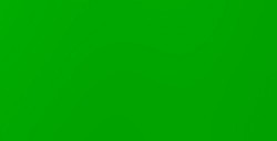LIQUITEX BASICS COLORI ACRILICI FLUORESCENT GREEN N. 985