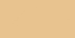 VALLEJO ACRYLIC-POLYURETHANE SURFACE PRIMER DESERT TAN