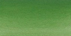 SCHMINCKE HORADAM ACQUERELLO EXTRA FINE GODET CHROMIUM OXIDE GREEN SERIE 2 N. 512