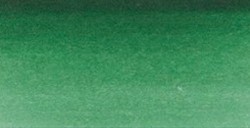 SCHMINCKE HORADAM ACQUERELLO EXTRA FINE GODET OLIVE GREEN SERIE 1 N. 515