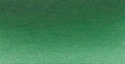 SCHMINCKE HORADAM ACQUERELLO EXTRA FINE GODET HOOKER'S GREEN SERIE 1 N. 521