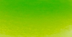 SCHMINCKE HORADAM ACQUERELLO EXTRA FINE GODET MAY GREEN SERIE 2 N. 524