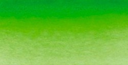 SCHMINCKE HORADAM ACQUERELLO EXTRA FINE GODET PERMANENT GREEN SERIE 2 N. 526