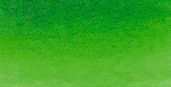 SCHMINCKE HORADAM ACQUERELLO EXTRA FINE GODET SAP GREEN SERIE 2 N. 530