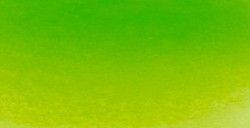 SCHMINCKE HORADAM TUBO DE ACUARELA ARTIST VERDE MAYO SERIE 2 Nº 524
