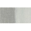 SENNELIER OIL STICK - OLIO IN STICK SILVER SERIE 2 N. 029