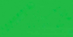 HOLBEIN ACRYLA GOUACHE LIGHT GREEN SERIE A N. 062