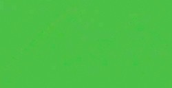 HOLBEIN ACRYLA GOUACHE LUMINOUS GREEN SERIE C N. 198