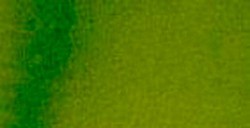 DANIEL SMITH ACQUERELLO EXTRAFINE MEZZO GODET SAP GREEN (PIGMENTO: P0 48 - PG 7 - PY 150) SERIE 2 N. 102