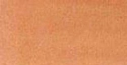 DANIEL SMITH ACQUERELLO EXTRAFINE MEZZO GODET BURNT SIENNA LIGHT (PIGMENTO: PR 101 - PO 48) SERIE 1 N. 230