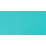 LIQUITEX ACRYLIC GOUACHE LIGHT BLUE PERMANENT SERIE 1 N. 770
