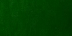 LIQUITEX ACRYLIC GOUACHE HOOKER'S GREEN HUE PERMANENT SERIE 1 N. 224