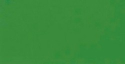 SCHMINCKE AKADEMIE GOUACHE SAP GREEN SERIES 1 NO. 520