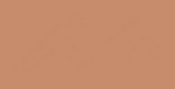 SCHMINCKE CALLIGRAPHY GOUACHE GOLD PEARL SERIE 1 N. 870