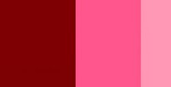 SCHMINCKE HORADAM GOUACHE MADDER LAKE DEEP SERIE 2 N. 354