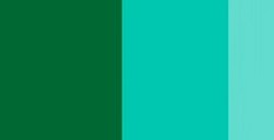 SCHMINCKE HORADAM GOUACHE HELIO GREEN YELLOWISH SERIE 1 N. 524
