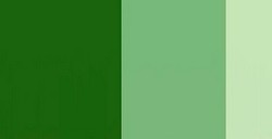 SCHMINCKE HORADAM GOUACHE OLIVE GREEN SERIE 2 N. 532