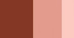 SCHMINCKE HORADAM GOUACHE BURNT SIENNA SERIE 1 N. 648