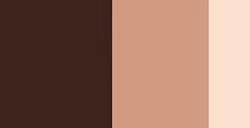 SCHMINCKE HORADAM GOUACHE BURNT UMBER SERIE 1 N. 650