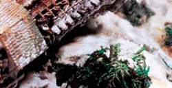 VALLEJO WEATHERING EFFECTS PER MODELLISMO - SNOW