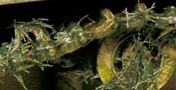 VALLEJO WEATHERING EFFECTS VERWITTERUNGSEFFEKTE FÜR MODELLBAU - PLATTGEDRÜCKTES GRAS