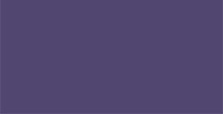 OLO PENNARELLO PERSONALIZZABILE RICARICABILE INCHIOSTRO COLORE CONCORD GRAPE