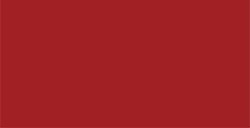 OLO PENNARELLO PERSONALIZZABILE RICARICABILE INCHIOSTRO COLORE CRANBERRY