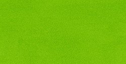 OLO PENNARELLO PERSONALIZZABILE RICARICABILE INCHIOSTRO COLORE TREE FROG