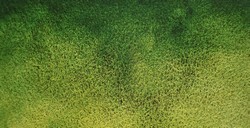 MIJELLO MISSION GOLD CLASS TOURMALINE ACQUERELLI GRANULATI FADE GREEN SERIE D N. 831