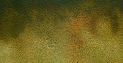 MIJELLO MISSION GOLD CLASS TOURMALINE ACQUERELLI GRANULATI GREEN OCHRE SERIE D N. 838