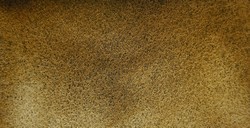 MIJELLO MISSION GOLD CLASS TOURMALINE ACQUERELLI GRANULATI MUD UMBER SERIE C N. 841