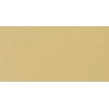SENNELIER PASTEL CARD CARTA PER PASTELLO 360 G - NAPLES YELLOW
