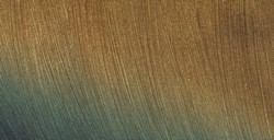 WHITE NIGHTS SHIMMERING ACQUERELLO BRILLANTE GOLD SHINE N. 998
