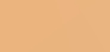 CANSON MI-TEINTES CARTONCINO 160 G - ROSA MURAGLIA (N. 350)