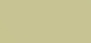 CANSON MI-TEINTES CARTONCINO 160 G - VERDE CHIARO (N. 480)