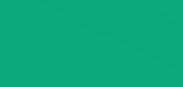 CANSON MI-TEINTES CARTONCINO 160 G - VERDE BILIARDO (N. 575)