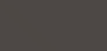CANSON MI-TEINTES CARTONCINO 160 G - GRIGIO ANTRACITE (N. 184)